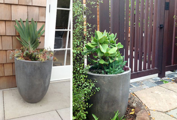 Plants in Planters 03